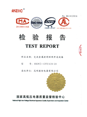HXGN□-12FZ环网柜检验报告